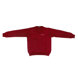 PULL COL EN V BORDEAU
