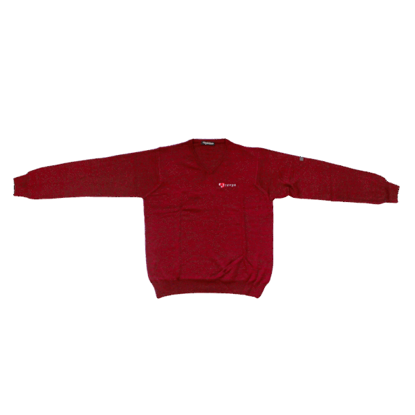 PULL COL EN V BORDEAU