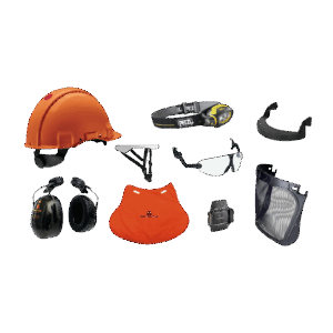 CASQUE FORESTIER
