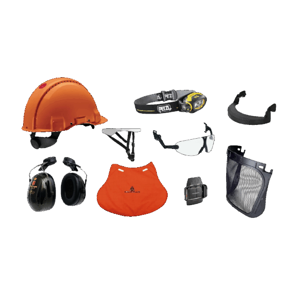 CASQUE FORESTIER