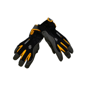 GANTS