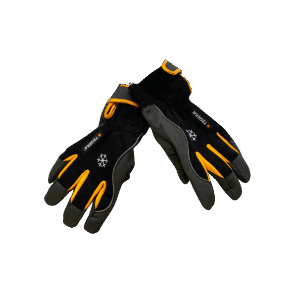 GANTS